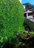 products/10_Aplicacion_Moss.jpg