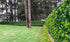 products/18_Aplicacion_Moss.jpg