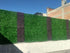 products/2-Aplicacion-Cancun_fac772ba-7bee-4715-8a22-f615b27be655.jpg