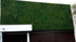 products/21_Aplicacion_Moss.jpg