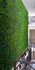 products/7_Aplicacion-Moss.jpg