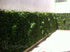 products/Aplicacion-Selva-4.jpg