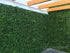 products/Aplicacion-Selva-6.jpg