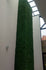 products/Follaje-Artificial-Acapulco_9760c938-e6af-4ce4-9b24-6d8f49bb11aa.jpg