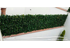 products/Follaje-Artificial-Limon_2.png