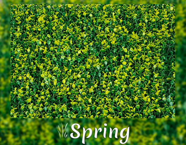 Spring