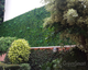 Selva