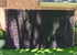 products/Follaje_Artificial_Lavanda.jpg