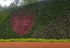 products/Muro-Decorativo-Terra-3_ebdcf387-4e6d-4ffb-b19a-0daa880c67a8.jpg