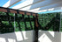 products/Muro-con-Follaje-Hiedra-2.jpg