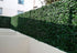products/Muro-con-Follaje-Hiedra-3.jpg