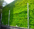 products/Muro_Decorativo_Helecho_2.jpg