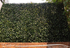 products/Muros-Decorativos-Artificiales-Limon.png