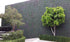 products/Muros_Decorativos_Lavanda_1.jpg