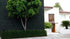 products/Muros_Decorativos_Lavanda_3.jpg