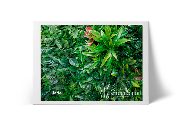 Jade