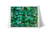 Laurel