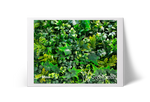 Moss