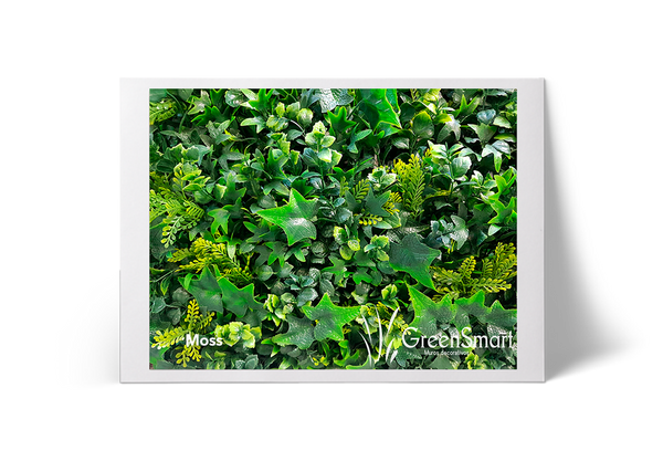 Moss