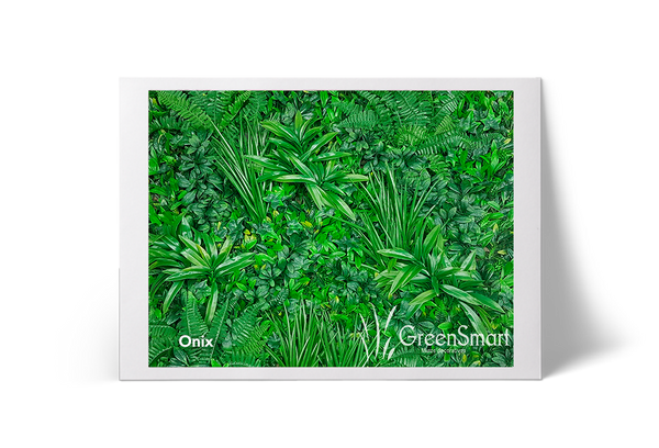 Onix
